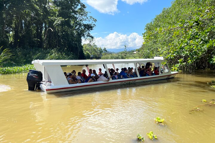 Full Day Private Tortuguero Canal and Zipline Adventure in Limon - Photo 1 of 7